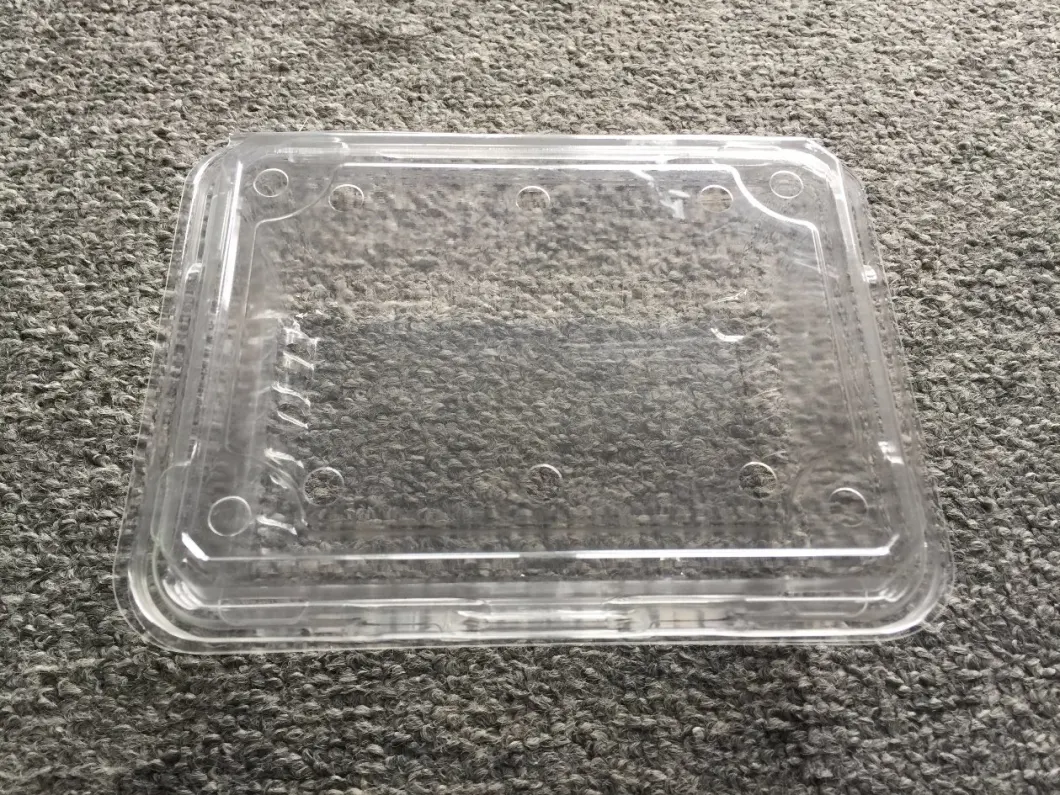 Plastic Lunch Box Lunch Tray Lunch Plate Thermoforming Machine