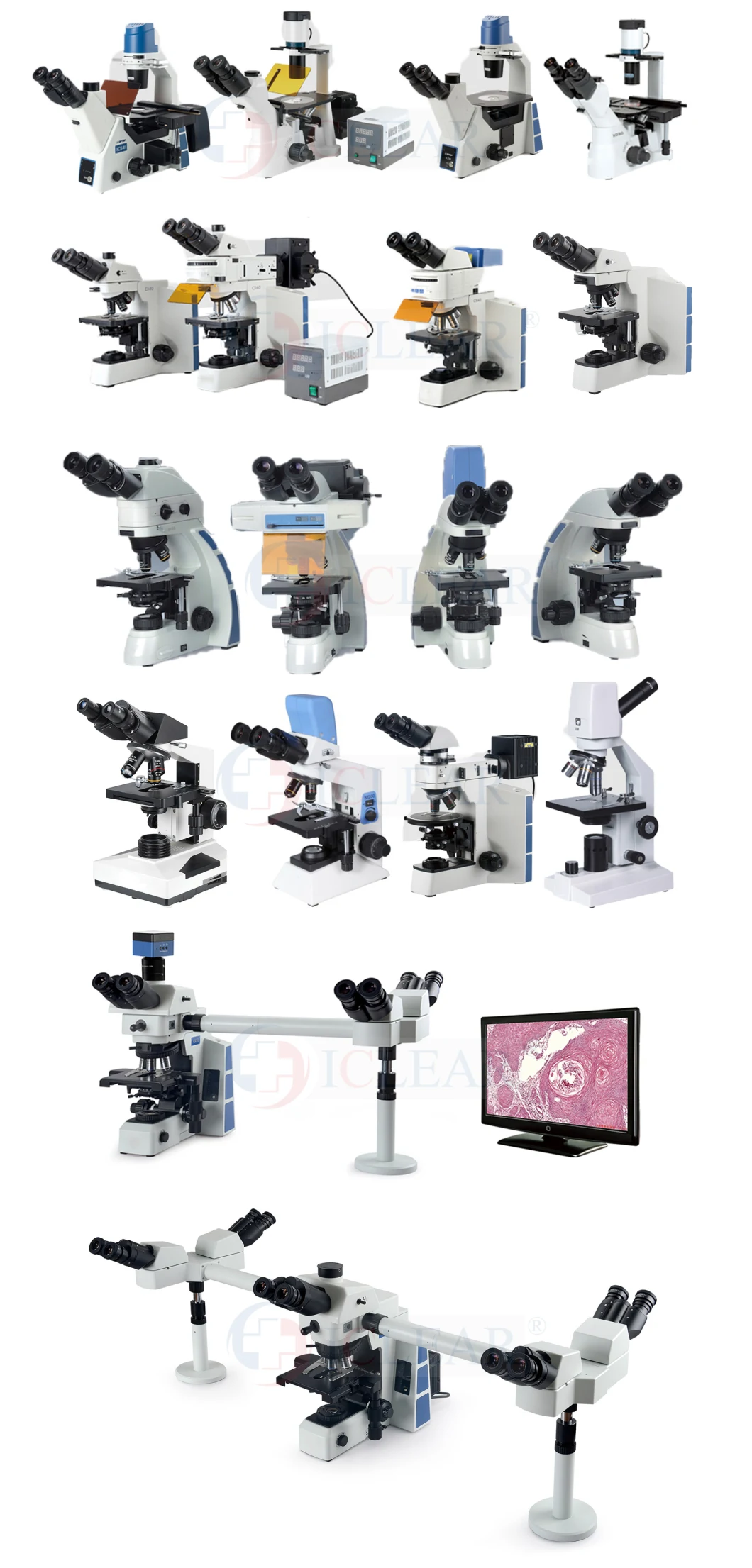 Economic Popular Laboratory Biological Binocular Microscope 107bn