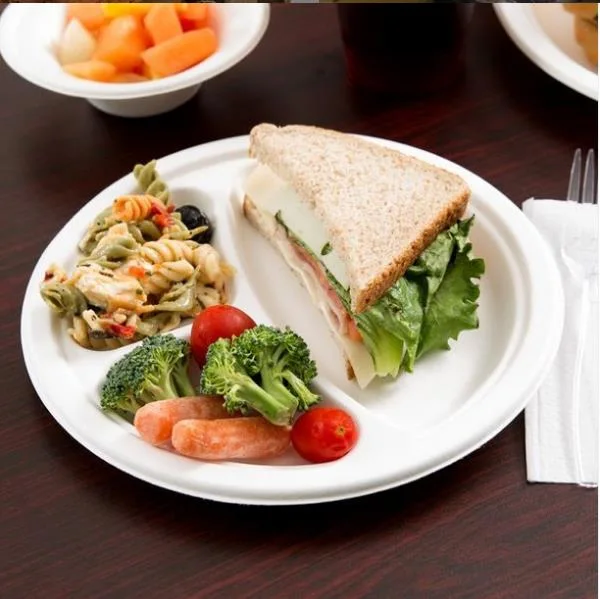 Eco Friendly Biodegradable Sugarcane Bagasse Disposable Food Lunch Container
