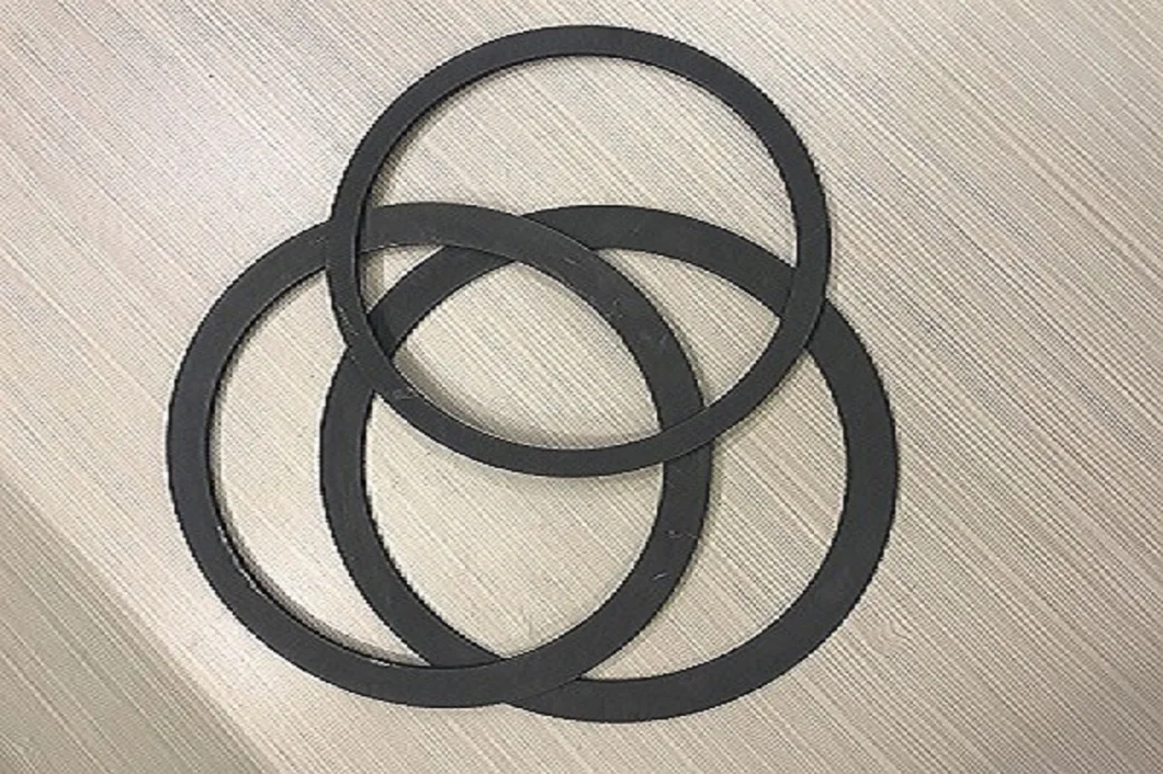 Graphite Sealing Ring for Mechanical Seal Industry