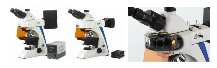 BS-2063t 40-1000X Biological Microscope for College Education