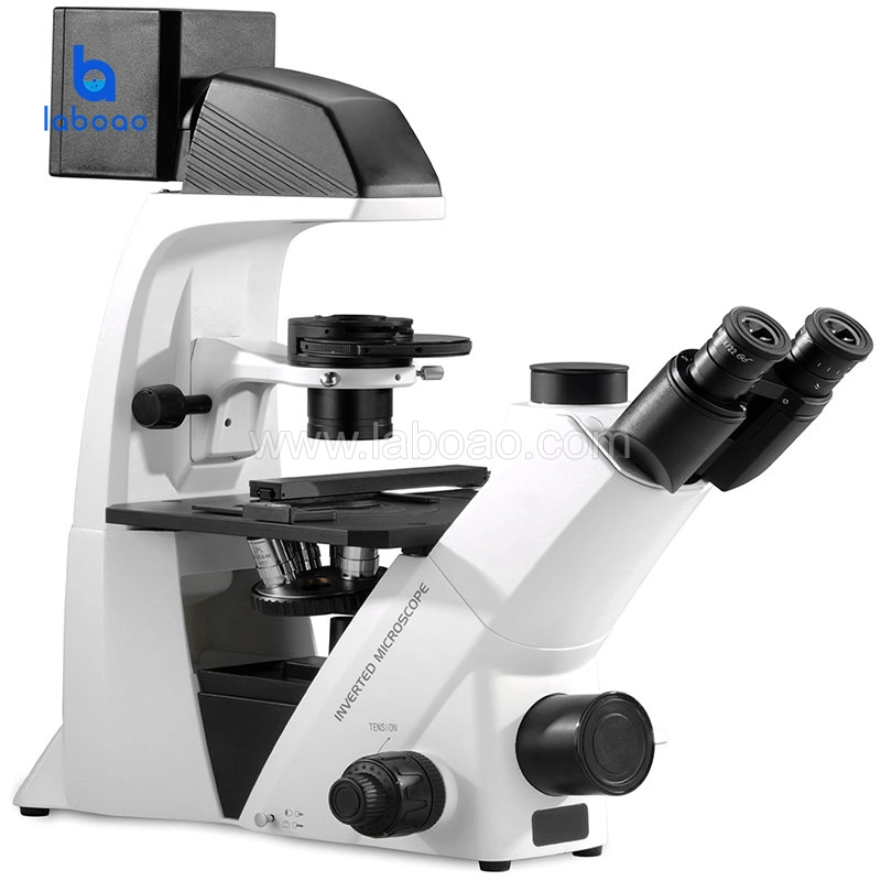 Optical Biological Inverted Fluorescence Microscope Used in Science Research