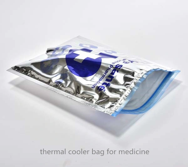 Vaccine Bag Medicine Hot and Cooler Bag Cold Chain Transportation Thermal Bag Custom Logo