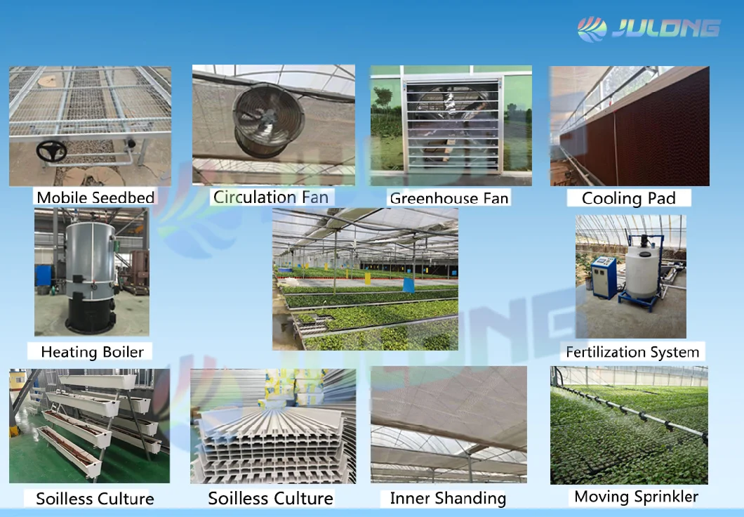 UV Treated Plastic Film Agriculture Greenhouse with Drip Irrigation System