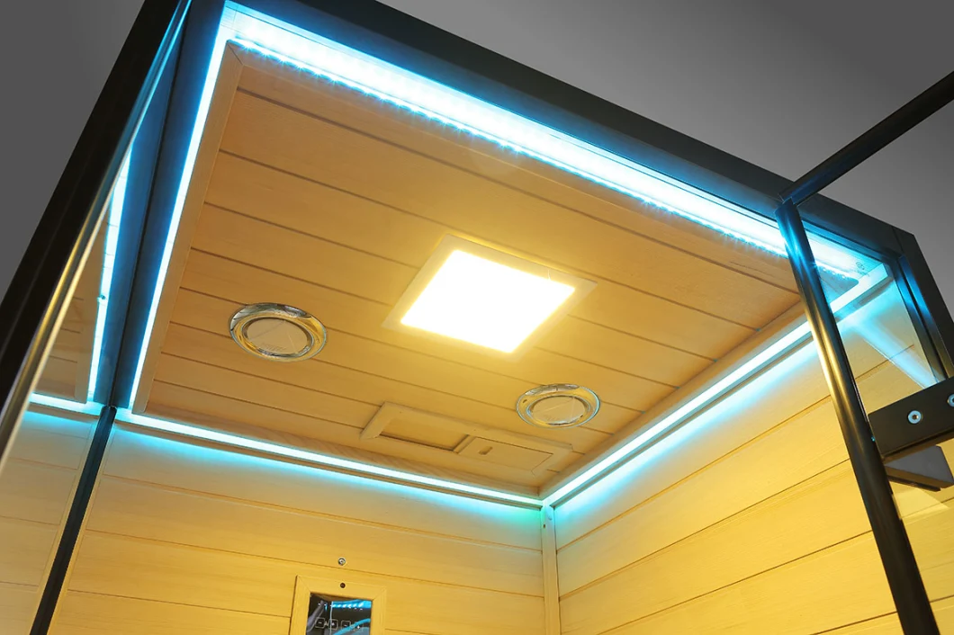New Design Matte Black Hinge Door Luxury Infrared Sauna Shower Room