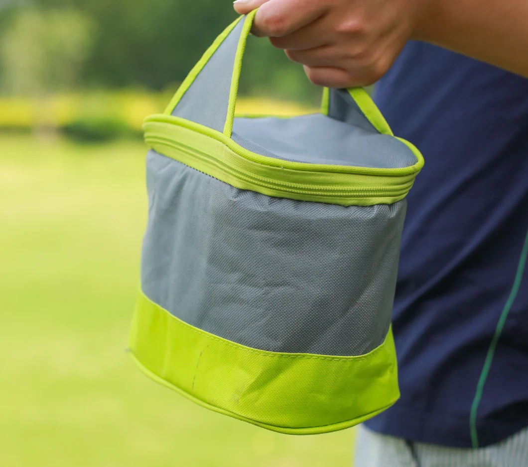 Promotional Picnic Lunch Bento Foods Bottle Ice Bag Thermal Cooler Bag Insulated Cooler Bag