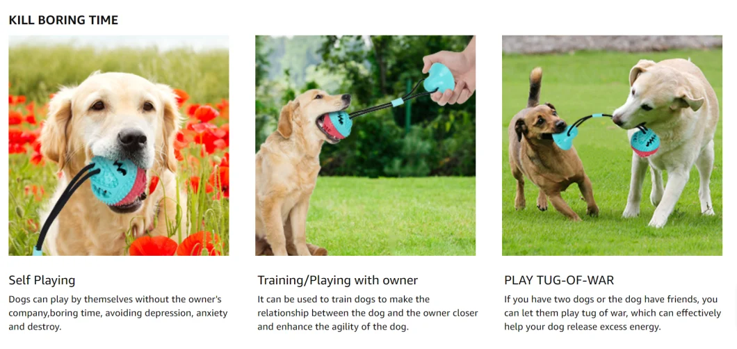 Suction Cup Dog Toy Molar Bite Chew Toy Interactive Ropes Toy for Pet Teeth Cleaning