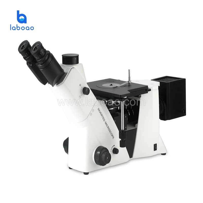 Lab Optical Trinocular Metallographic Inverted Microscope Used in Scientific Study