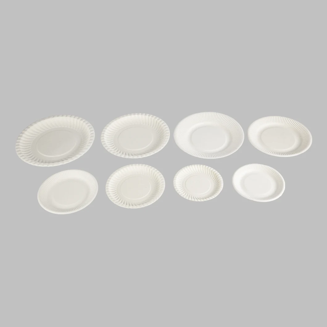 Disposable Biodegradable Food Grade Eco Lunch Paper Meal Box Bagasse Sugarcane Meal Box