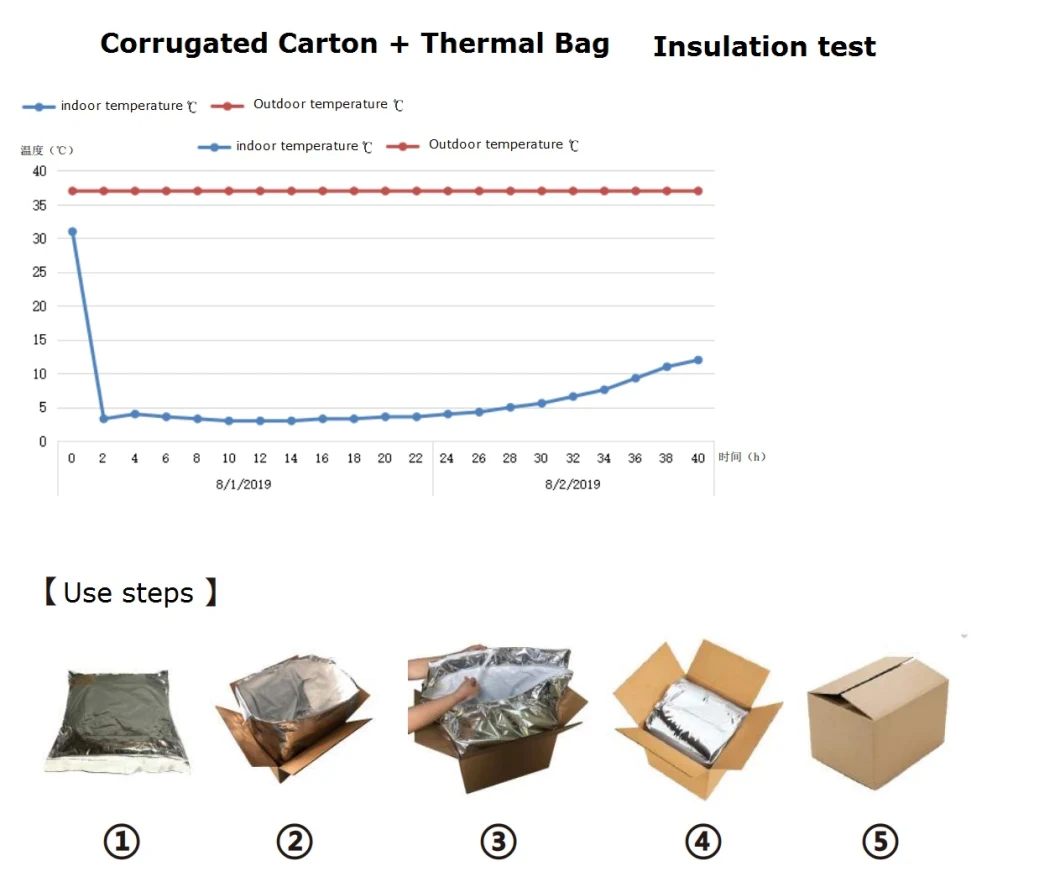 Thermal Insulated Freezer and Cooler Bag/Thermal Bag