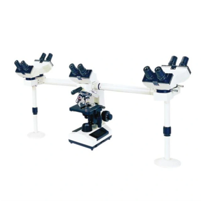 Wf10X Wf16X Electronic Microscope with Demonstration Head for Display