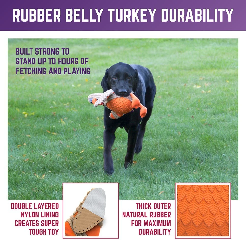 Premium Holiday Squeaky Dog Toy, Rubber Pet Toys
