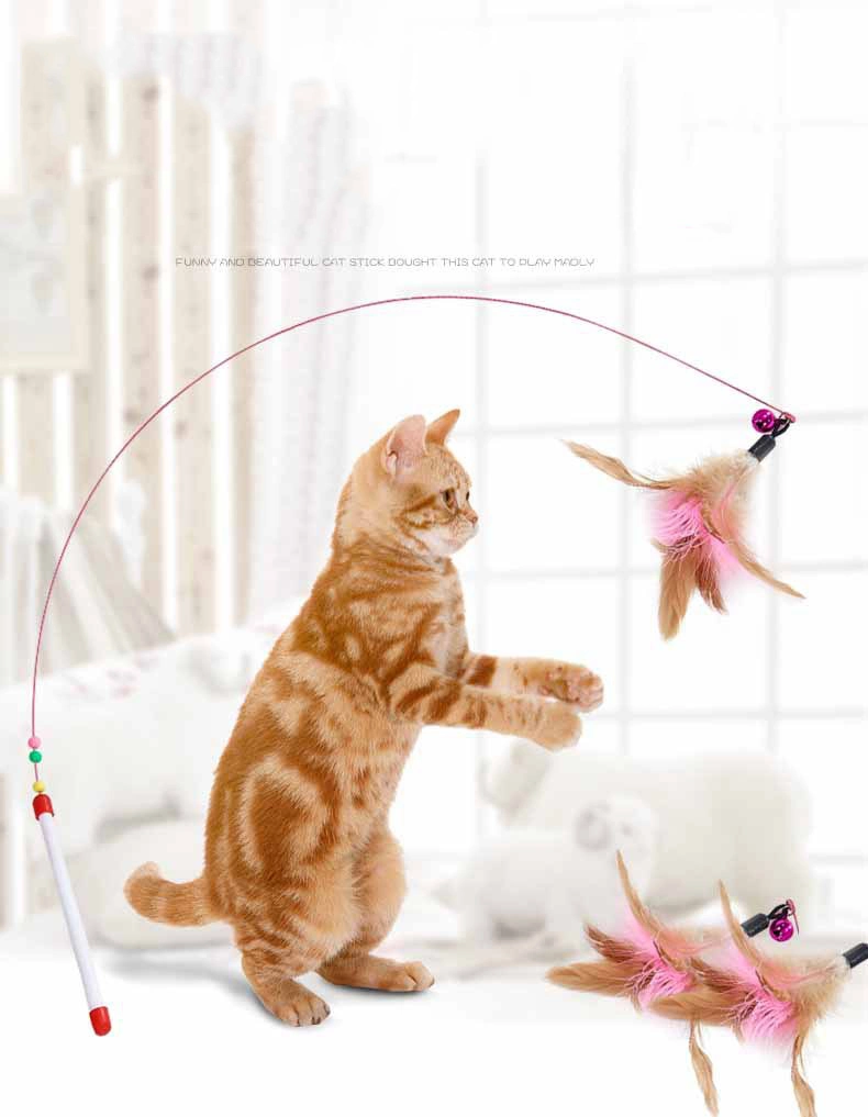 Pink Steel Feather Interactive Cat Toy Elastic Feather Funny Cat Toy