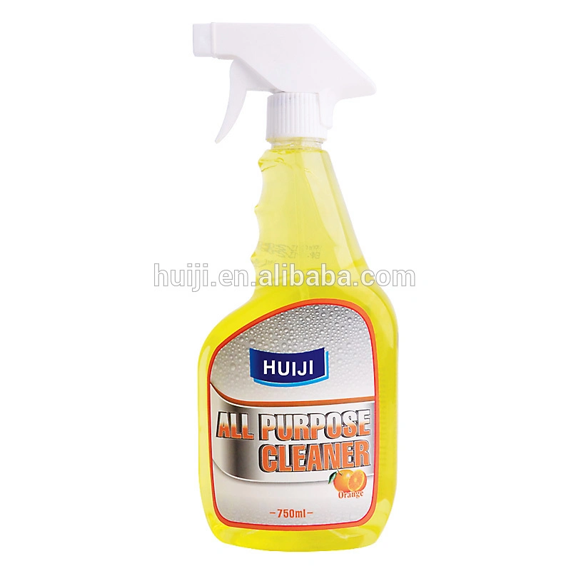 Floor Double Side Window Wash Shower Glass Cleaner Spray