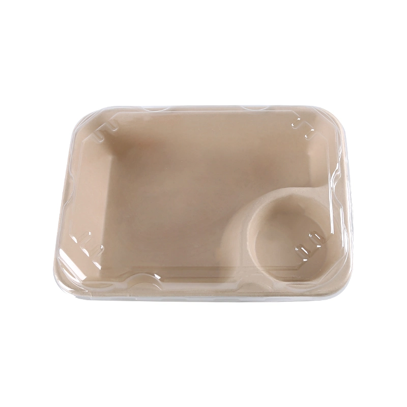 Natural Wheat Straw Pulp Lunch Packing Box