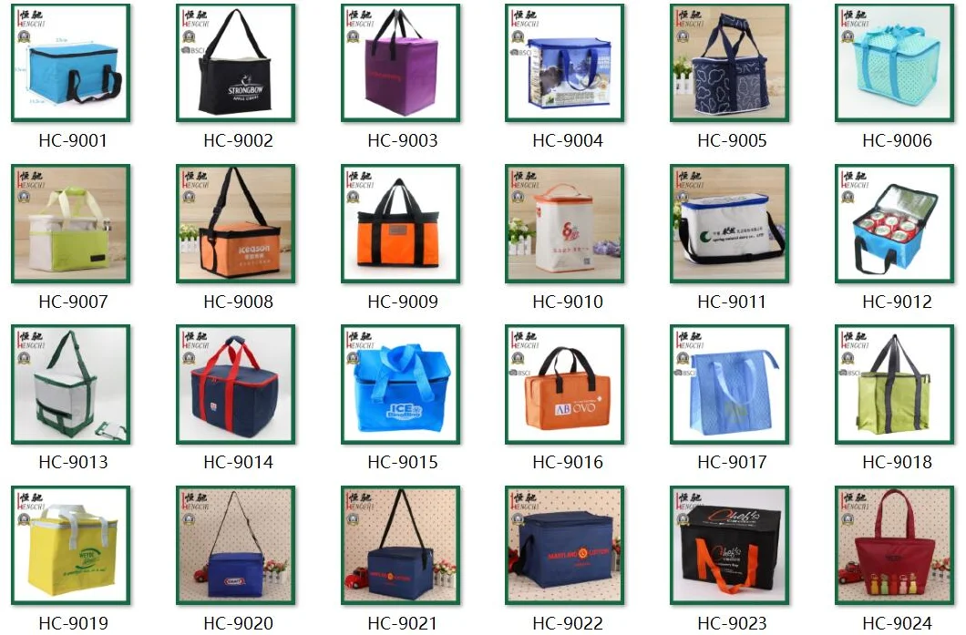 Portable Lunch Bag Picnic Cooler Bag for Women