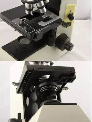 Lab Equipment Electronic Optical Binocular Biological Microscope