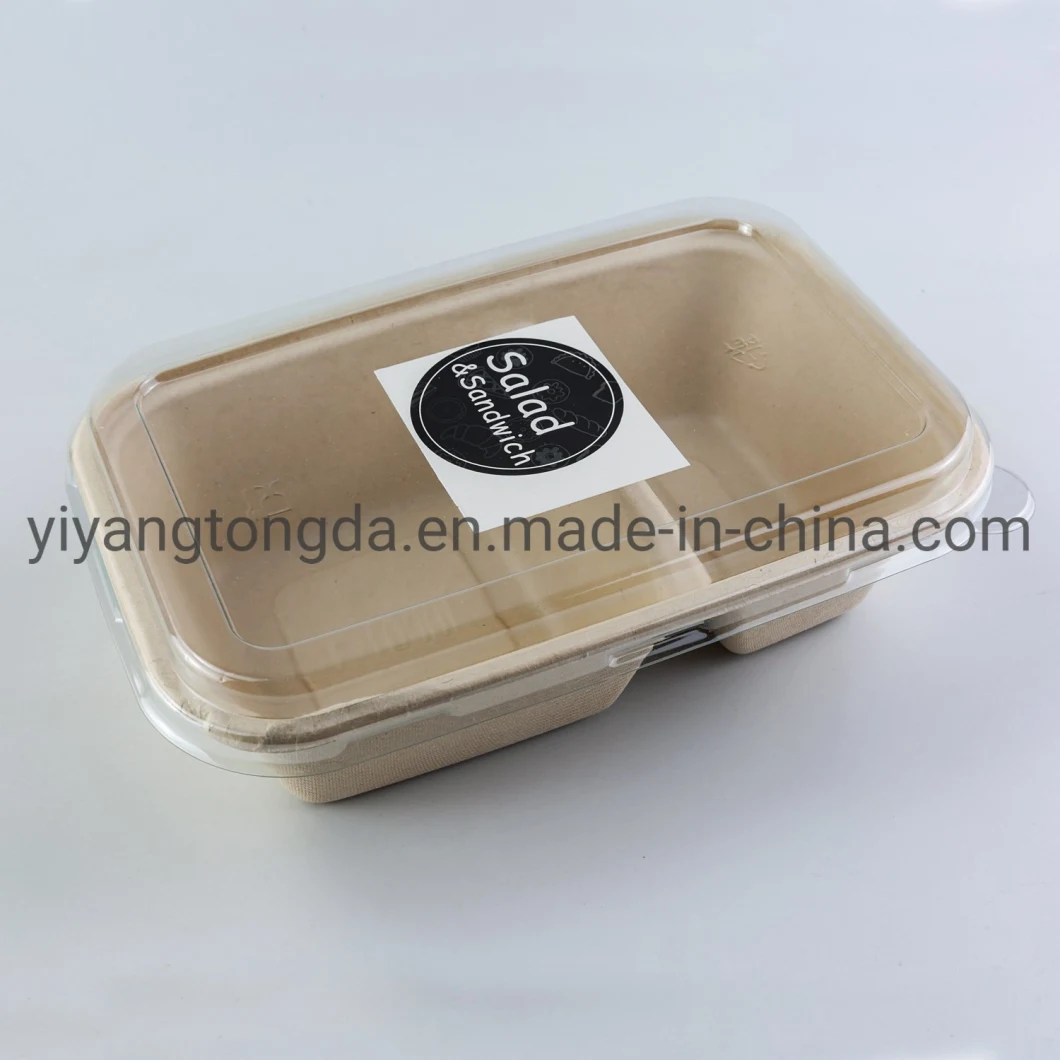 Biodegradable Pulp Lunch Container, Sugarcane Bagasse Food Container, Disposable Tableware