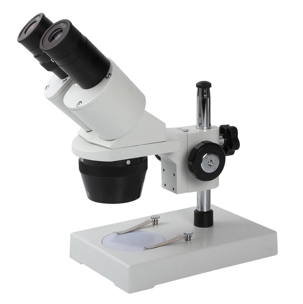 2020 Hot Stereo Binocular Microscope with Illumination (BM-XT-3A)