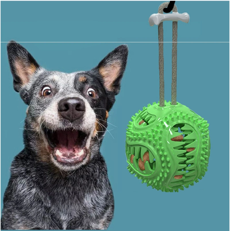 Pet Products Dogs TPR Toothbrush Bite-Resistant Chew Toy