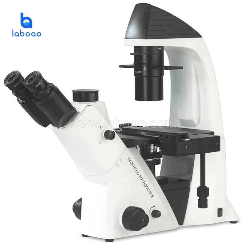 Inverted Trinocular Microscope Apply to Observation and Cultivation for Cell Tissue