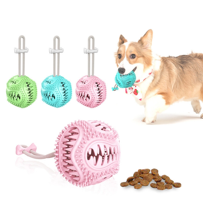 Pet Products Dogs TPR Toothbrush Bite-Resistant Chew Toy