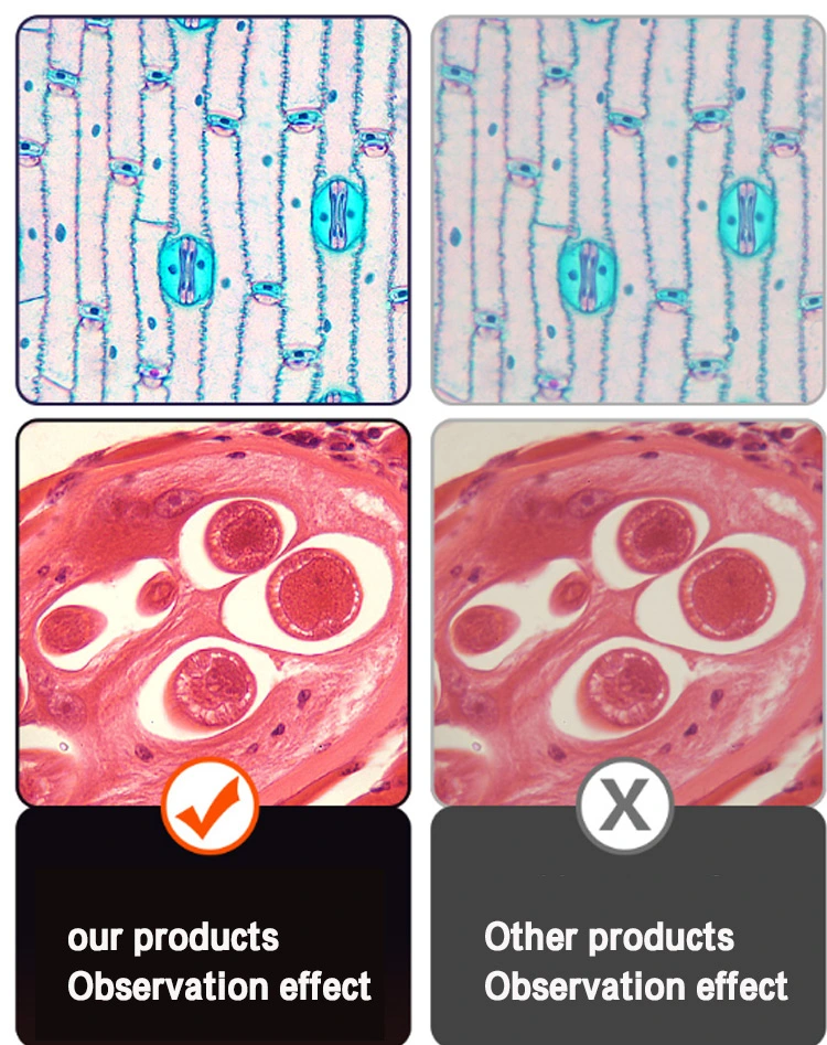 Novel Microscope Digital Applied in Scientific Research Mobile Microscope