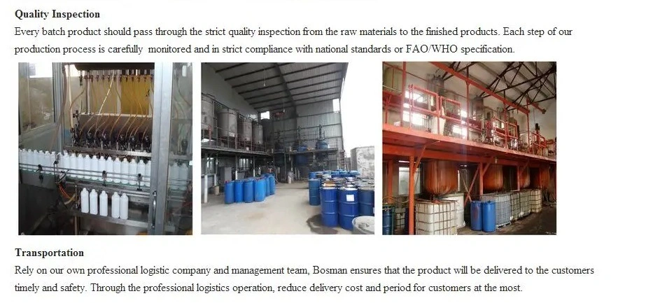 High Quality Mancozeb 80% WP China Fungicide Supplier Wholesale