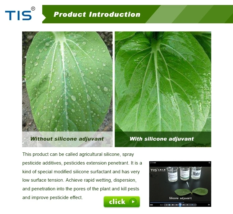 Agriculture Insecticide Silicone Synergist for Foliar Plants