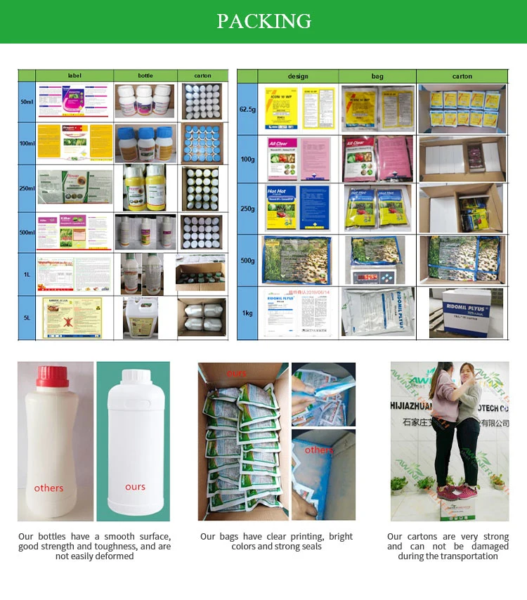 Agriculture Fungicide Tech Chlorothalonil 97% Tc 75%Wp 72%Sc 50%Sc