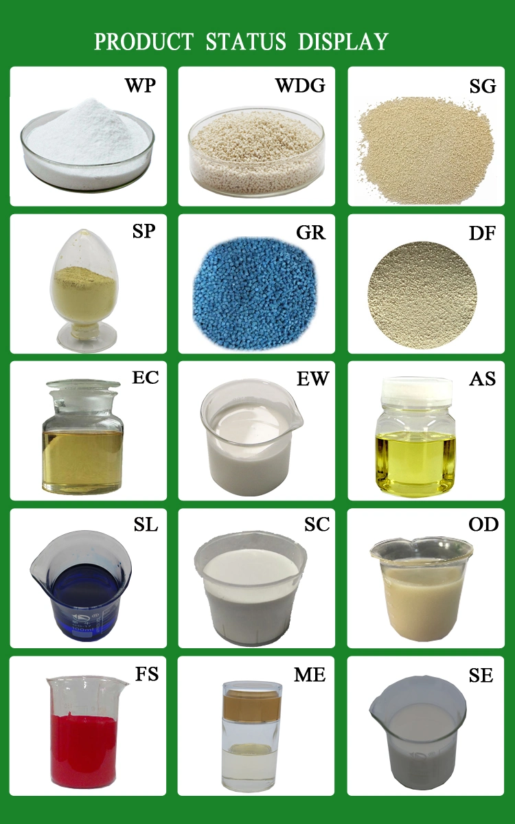 Flutriafol 250g/L Sc Agrochemical Highly Effective Systemic Fungicides