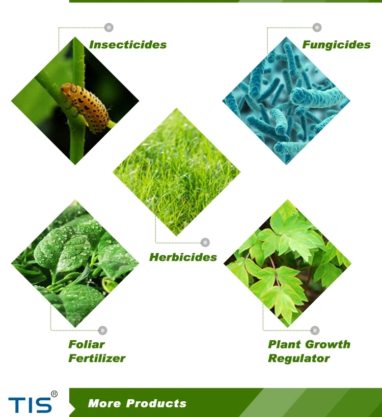 Agriculture Insecticide Silicone Synergist for Foliar Plants