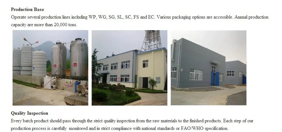 High Quality Mancozeb 80% WP China Fungicide Supplier Wholesale