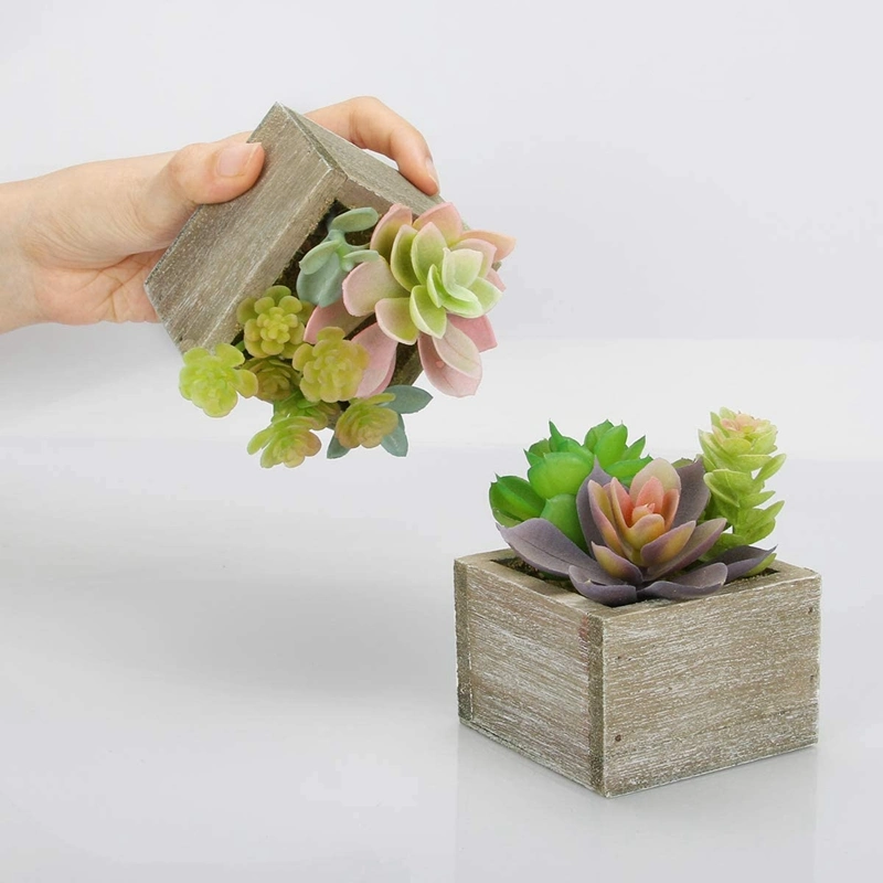 Artificial Succulents Plants, Mini Assorted Green Fake Faux Succulent Plants Pots Potted for Home Office Table Desk Plants Decor, Set of 3 Succulents Plants