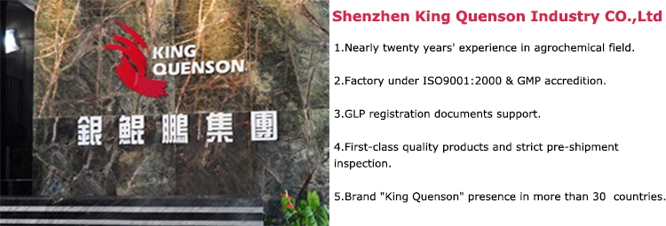 King Quenson Hot Sale Organic Insecticide Acetamiprid Price