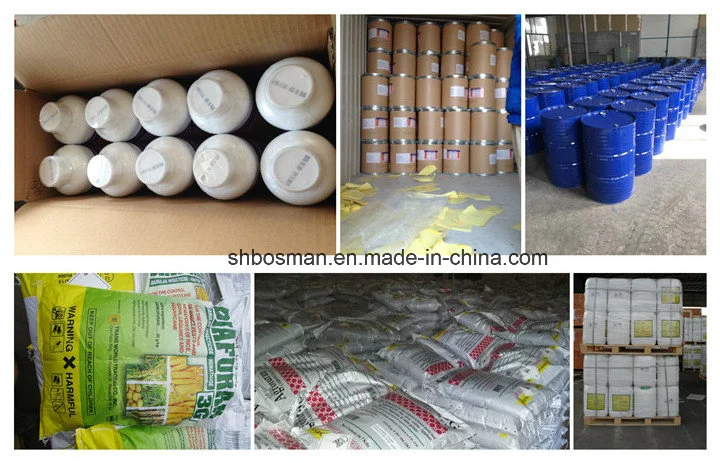 Copper Oxychloride 30% SC Fungicide & Bactericide