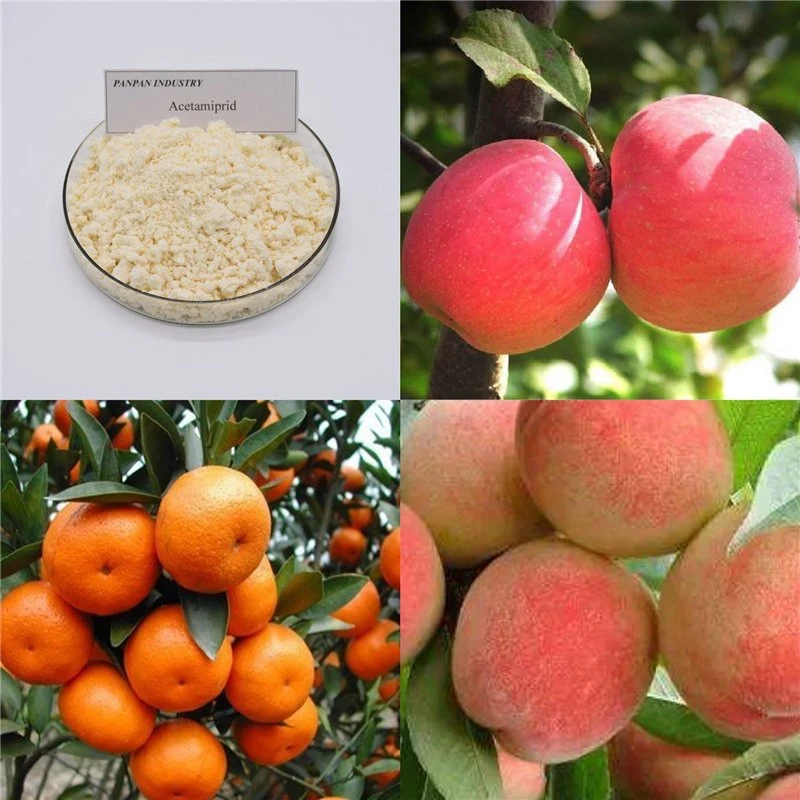 Insecticide Acetamiprid Manufacturers 97%Tc