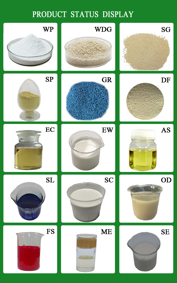 Chlorothalonil 50%Wp/Sc, 75%Wp, 720g/L Sc; 80%Df Agrochemical Highly Effective Systemic Fungicides