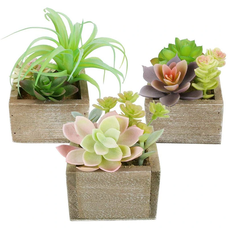 Artificial Succulents Plants, Mini Assorted Green Fake Faux Succulent Plants Pots Potted for Home Office Table Desk Plants Decor, Set of 3 Succulents Plants