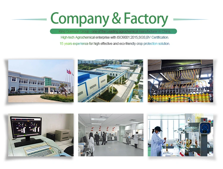 High Effective Direct Factory Price of Carbaryl 85% Wp Insecticide Supplier