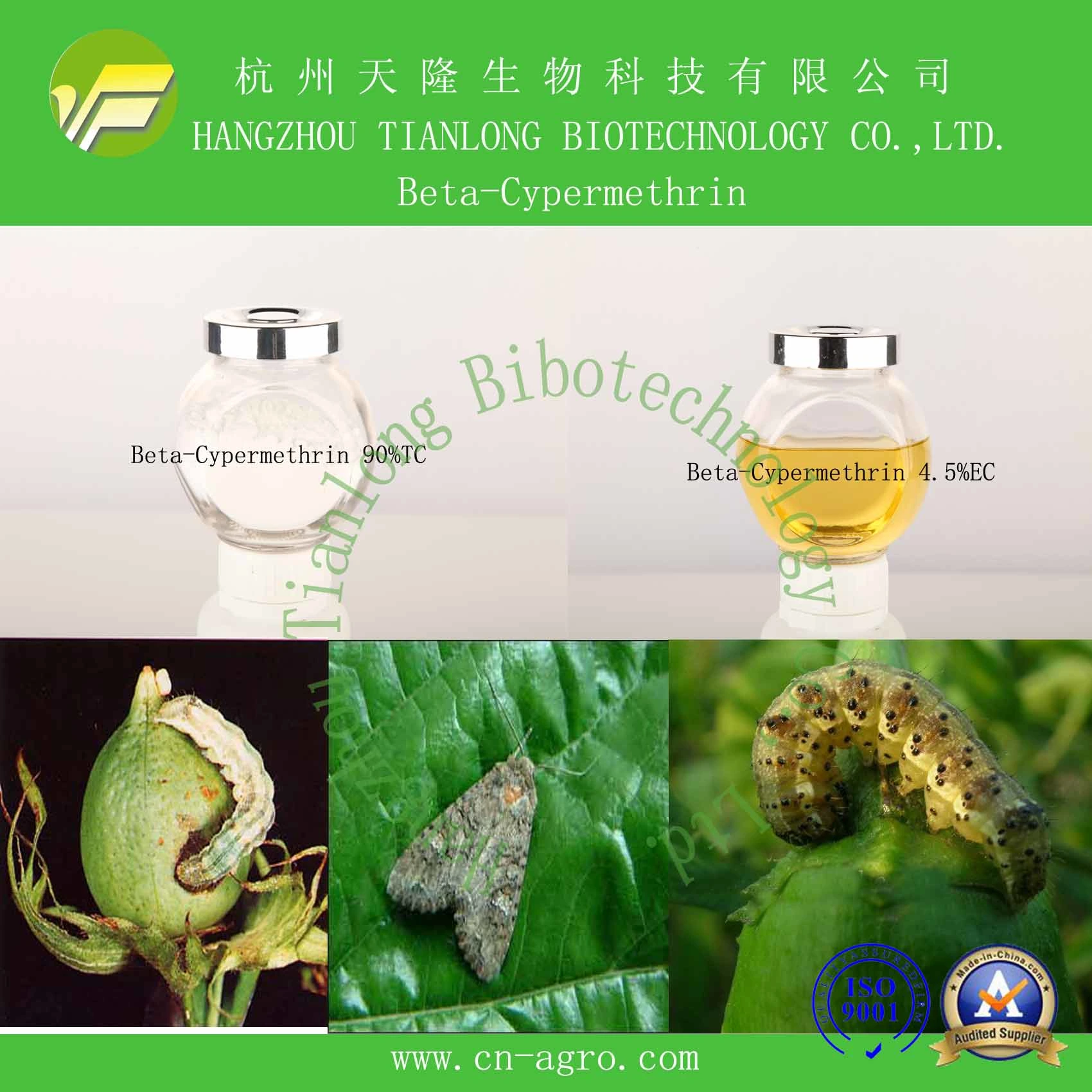 Abamectin Insecticide