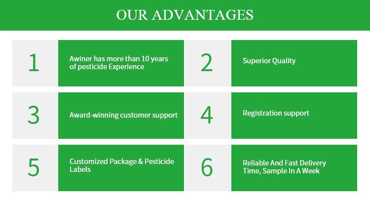 Chlorothalonil 50%Wp/Sc, 75%Wp, 720g/L Sc; 80%Df Agrochemical Highly Effective Systemic Fungicides