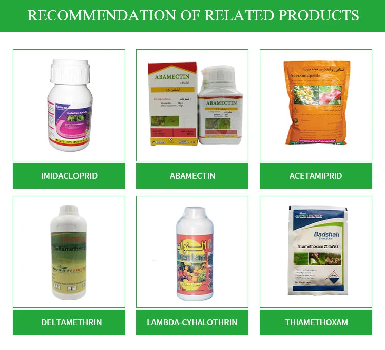 Insecticide Original Insect Lannate Killer Price Insecticide Methomyl 90 Sp