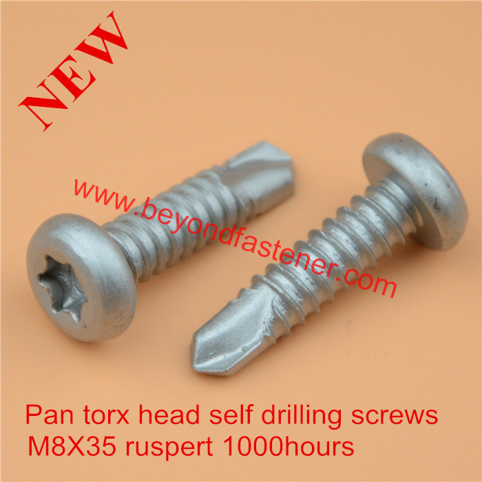 Torx Screw/Screw/Tapping Screw/Epoxy Screw Bimetal Screw Ruspert Screw