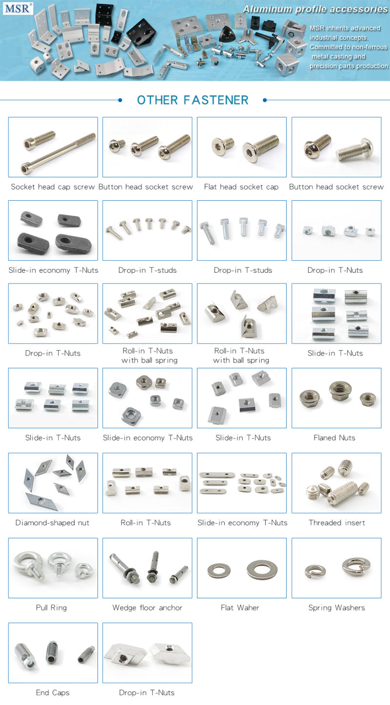 Steel GB3060-48 Slide-in T-Nuts for Aluminium Profile