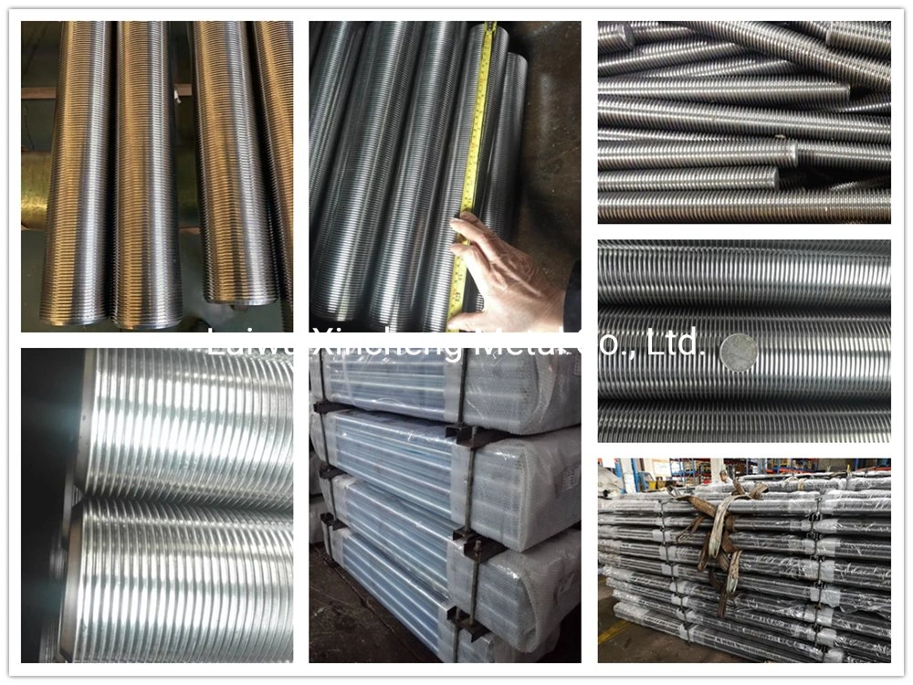 Grade 4.8 8.8 10.9 B7 Carbon Steel DIN975 DIN976 Full Threaded Thread Rod Galvanized