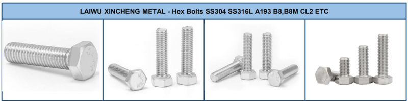 Stainless Steel SS304 SS316 SS316L Hex Nuts A2-70 A4-80 Hex Nut