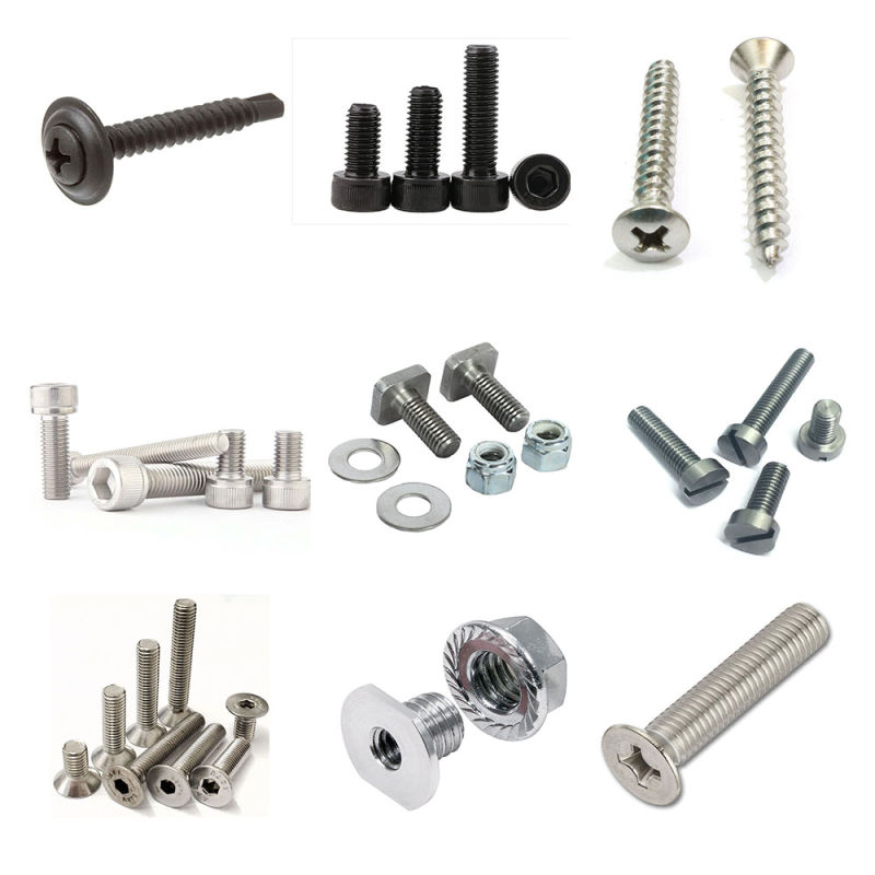 Standard 304 Stainless Steel Inner Hexagon Bolt Screw and Countersunk Bolt with Nut