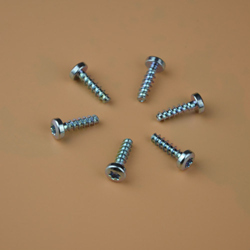 Sealing Bolts/Screw/Special Bolts/Pan Torx Pin Screw Safety Screw