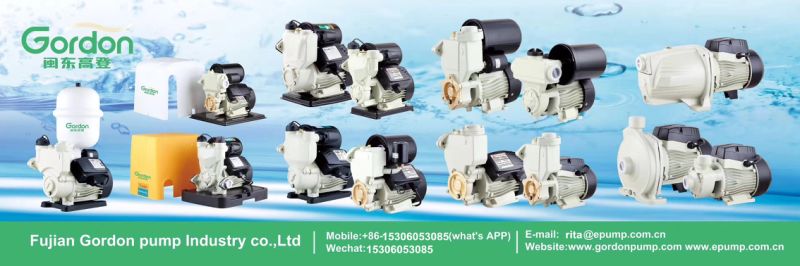 Domestic Electric Copper Self-Priming Booster Water Pump with Brass Impeller